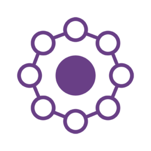 ValueMatch purple icon