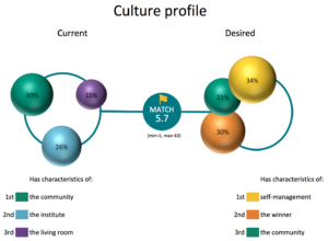 ValueMatch culture assessment - desired culture